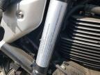 2023 Ducati Scrambler 1100