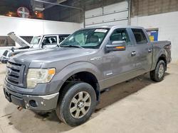 Salvage cars for sale from Copart Blaine, MN: 2013 Ford F150 Supercrew