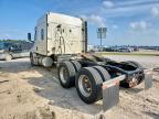 2020 Freightliner Cascadia 126
