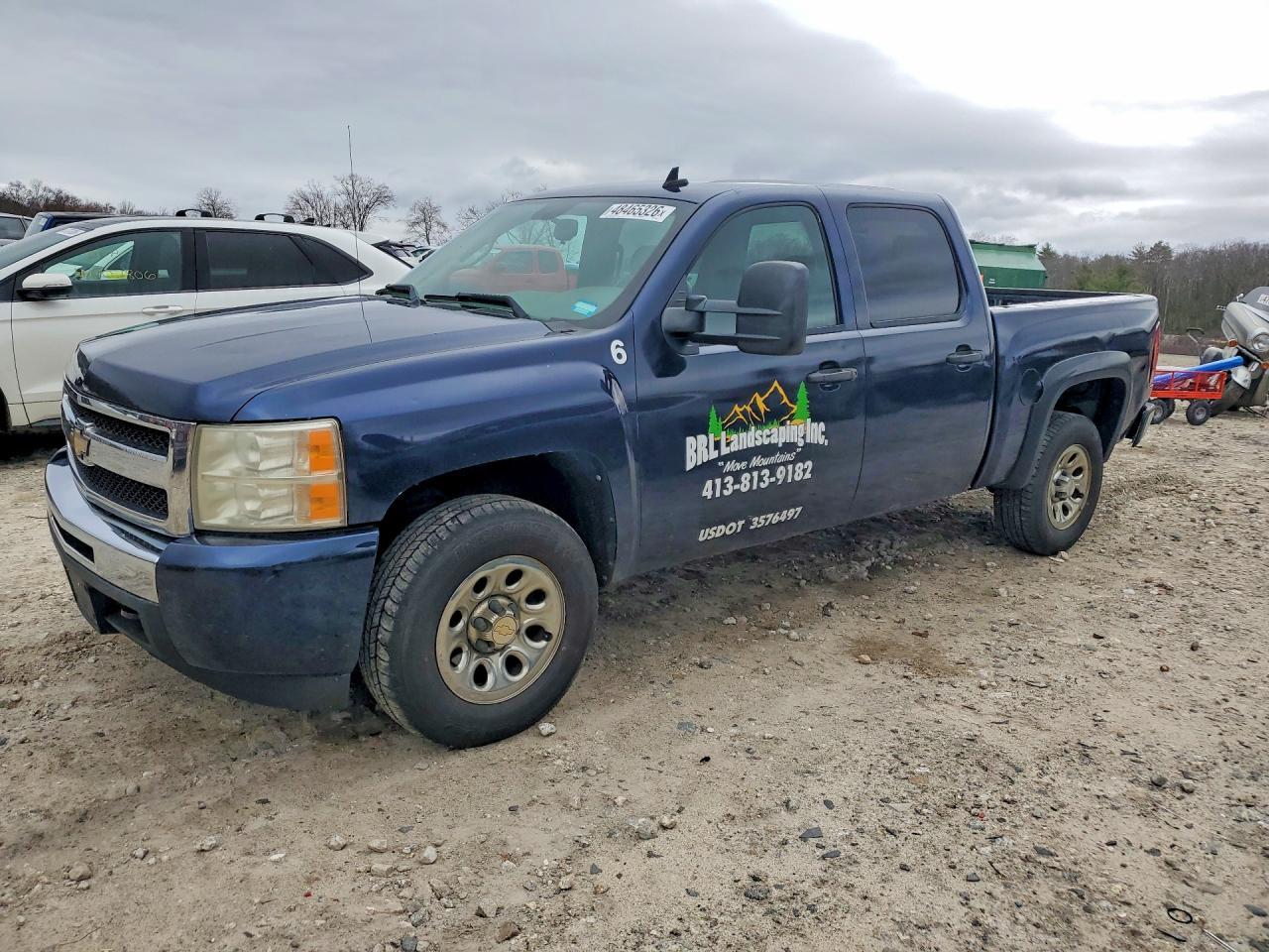 2010 Chevrolet Silverado K1500 LS