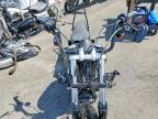 2017 Harley-Davidson Fxdb Dyna Street BOB