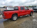 2010 Dodge Dakota SXT