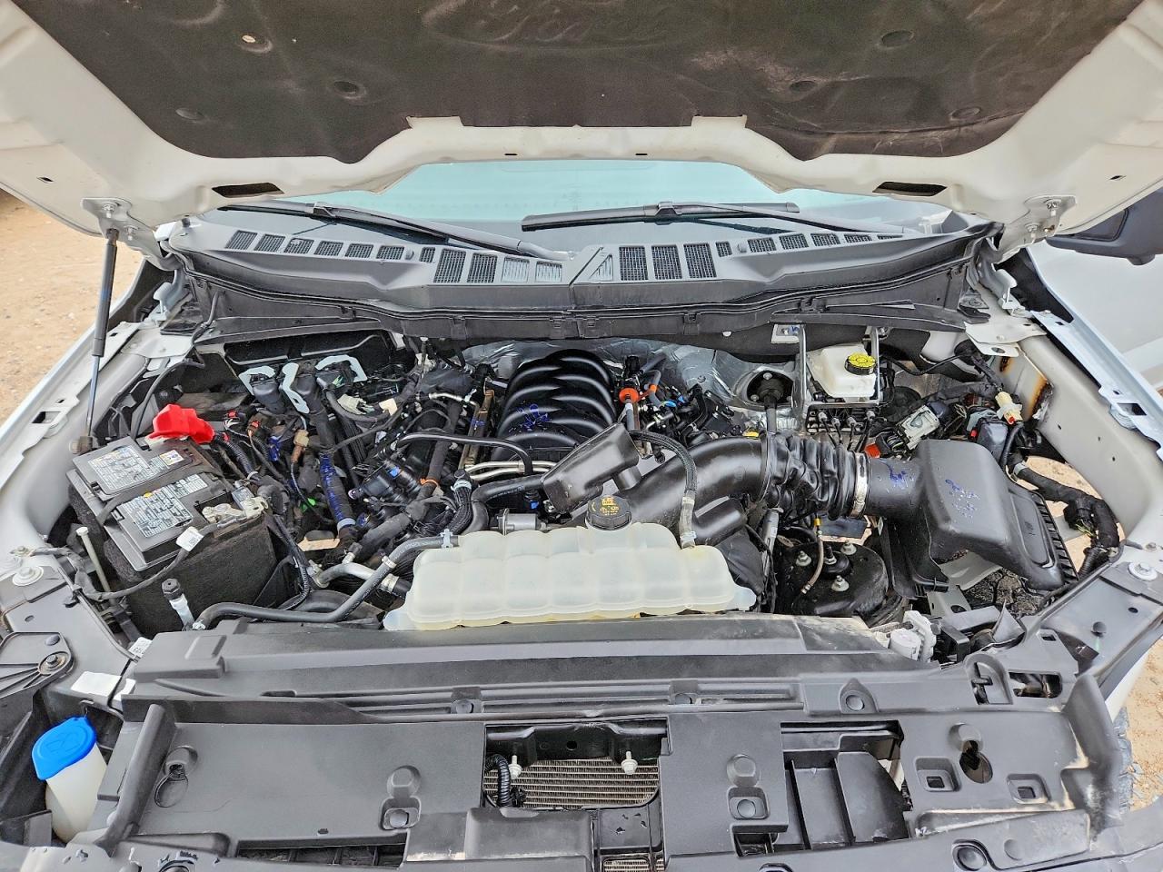 2025 Ford F150 XLT