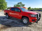 2019 Chev Colorado