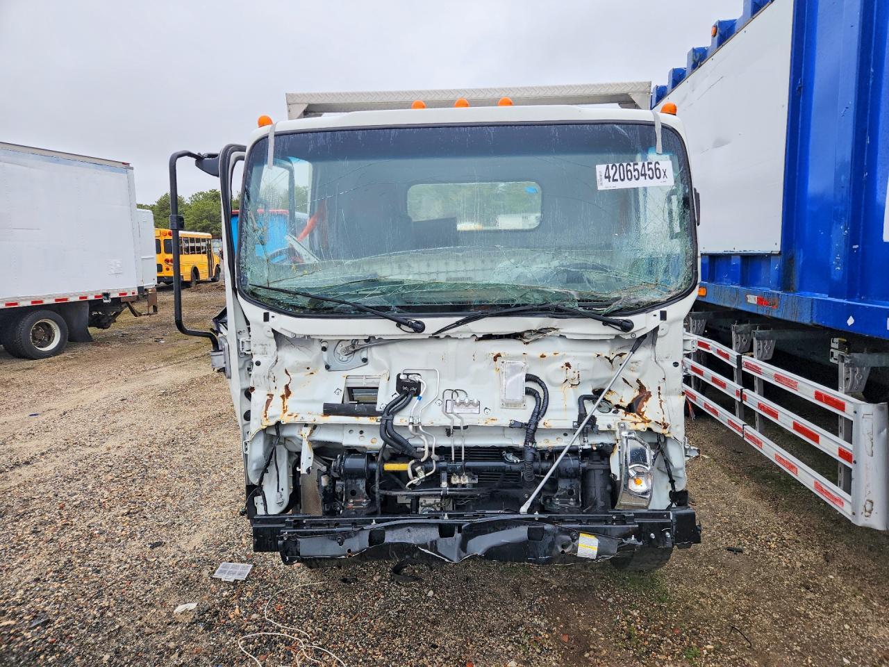 2023 Isuzu NRR Truck Cab AND Chassis