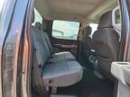 2024 Ford F150 XLT