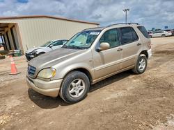 2001 Mercedes-Benz Ml 320 for sale in Temple, TX