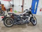 2010 Harley-Davidson Flstfb