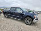 2024 Ford F150 Lariat
