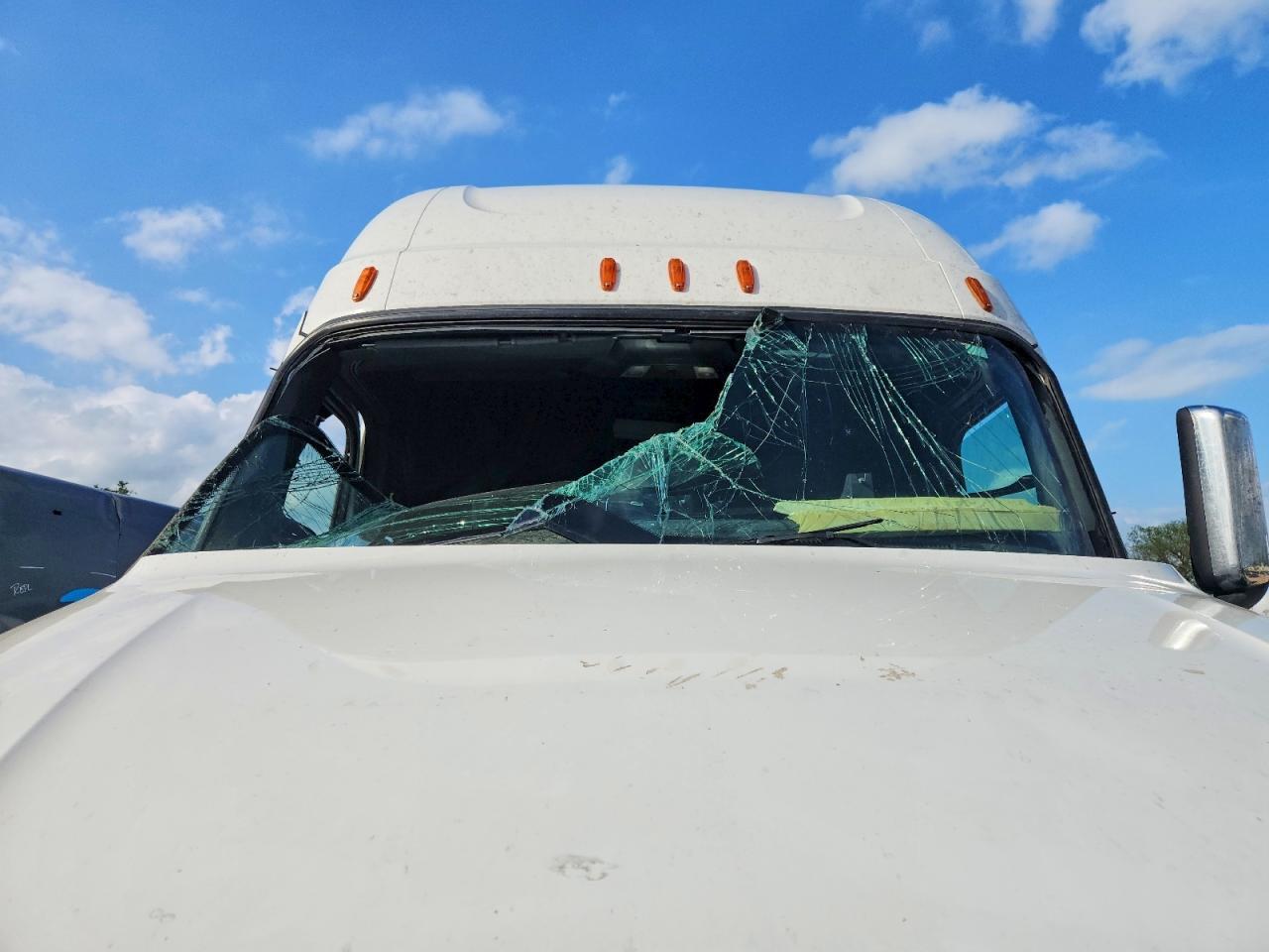 2020 Freightliner Cascadia 126