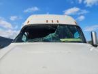2020 Freightliner Cascadia 126