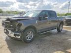 2024 Ford F150 XLT