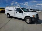 2013 Ford F150
