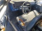 1989 Nissan D21 Short BED