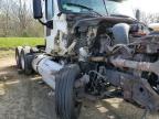 2015 Freightliner Cascadia 125