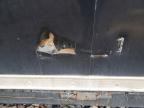 2023 Stealth STT714TA2 Enclosed Cargo Trailer