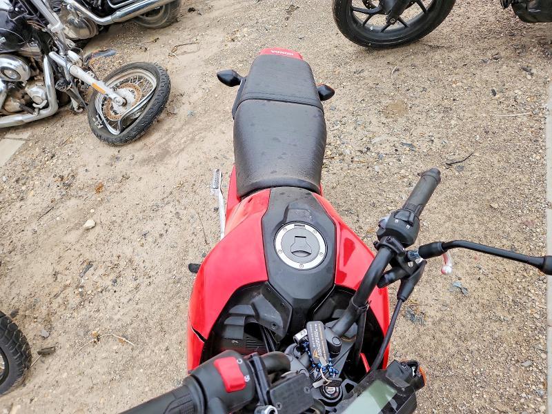 2025 Honda Grom 125
