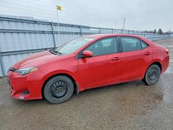 2018 Toyota Corolla l for sale in London, ON