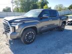 2024 Toyota Tundra Limited HV
