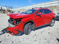 2025 Lexus Nx 350h Premium en venta en Walton, KY