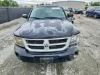 2010 Dodge Dakota SXT