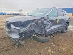 Ford salvage cars for sale: 2026 Ford Escape