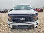 2025 Ford F150 XLT