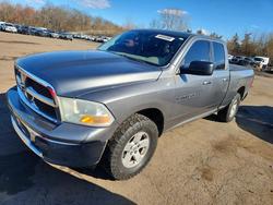 Dodge ram 1500 Vehiculos salvage en venta: 2011 Dodge RAM 1500