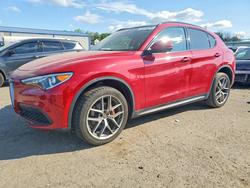 Alfa Romeo salvage cars for sale: 2019 Alfa Romeo Stelvio