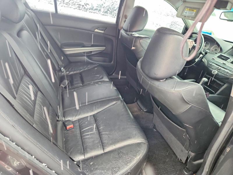 2010 Honda Accord exl