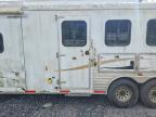 2013 Bision 83141E Horse Trailer