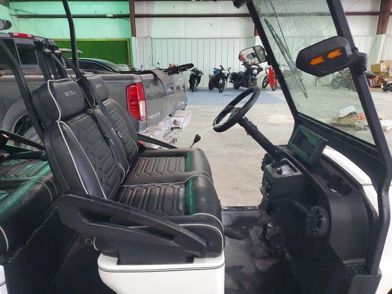 2024 Bintelli Golf Cart