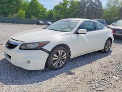 Honda Accord salvage cars for sale: 2012 Honda Accord exl