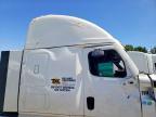 2026 Freightliner Cascadia 126
