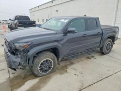 Salvage trucks for sale at Farr West, UT auction: 2024 Toyota Tacoma TRD OFF-Road