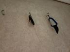 2000 Forest River Cardinal Camper