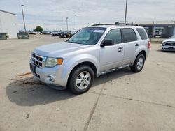 Ford salvage cars for sale: 2011 Ford Escape xlt
