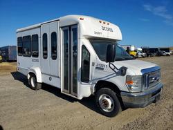 Ford Econoline salvage cars for sale: 2013 Ford Econoline