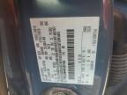 2024 Ford Escape st Line
