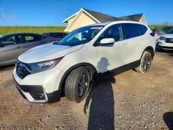 2020 Honda Cr-v exl en venta en Northfield, OH