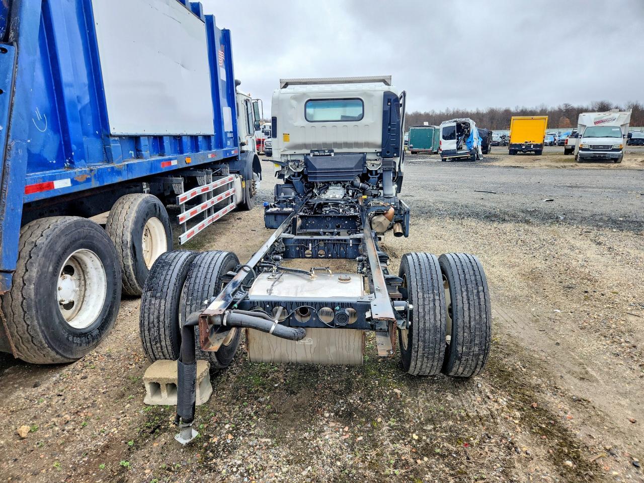 2023 Isuzu NRR Truck Cab AND Chassis