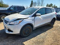 Ford Escape salvage cars for sale: 2013 Ford Escape se