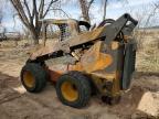 2017 Caterillar 2017 Caterpillar Skid Steer Loader