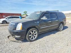 Cadillac Escalade Vehiculos salvage en venta: 2010 Cadillac Escalade esv Premium