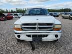 2001 Dodge Dakota Quattro