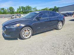 Ford Fusion salvage cars for sale: 2019 Ford Fusion sel