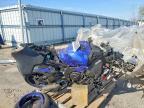 2024 Yama YZFR1