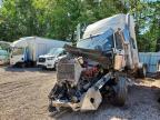 2017 International Lonestar
