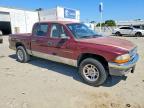 2001 Dodge Dakota Quattro