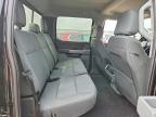 2024 Ford F150 XLT